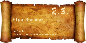 Ripp Benedek névjegykártya